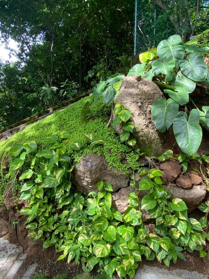 Eco Sky Villas El Sunzal Bagian luar foto